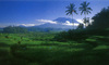 Gunung Agung  www.iesq.jw.lt